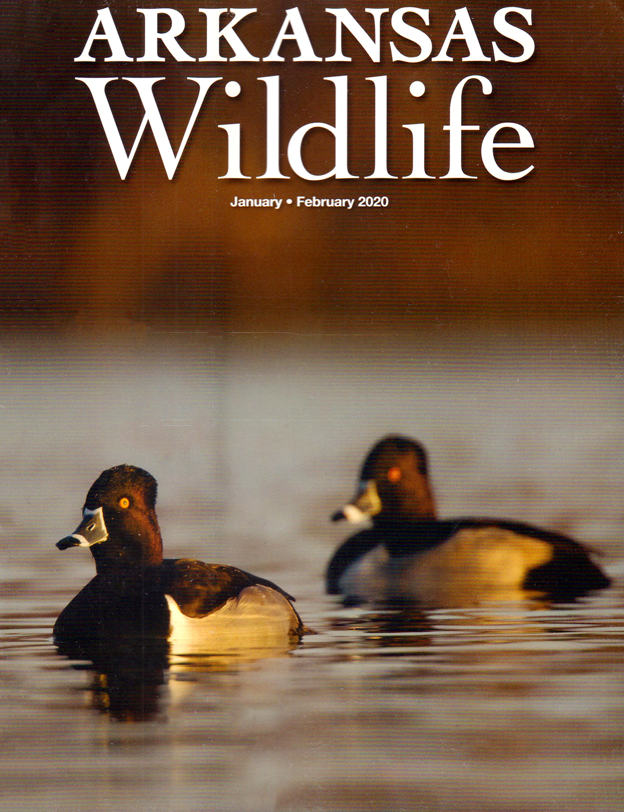Best Price for Arkansas Wildlife Magazine Subscription